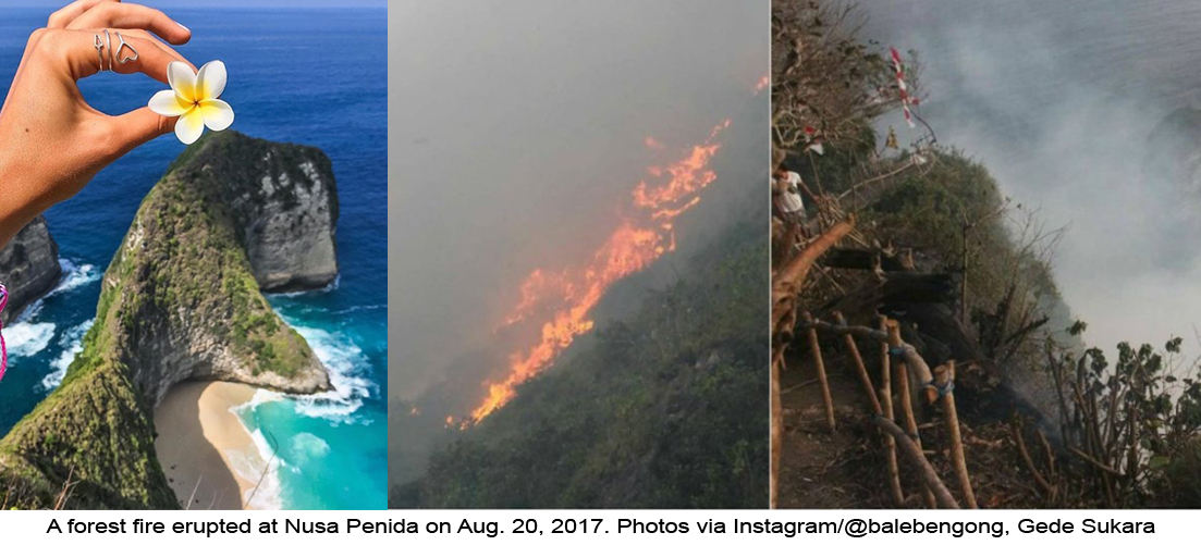 Tourists evacuated from Nusa Penida hills after forest fire erupts