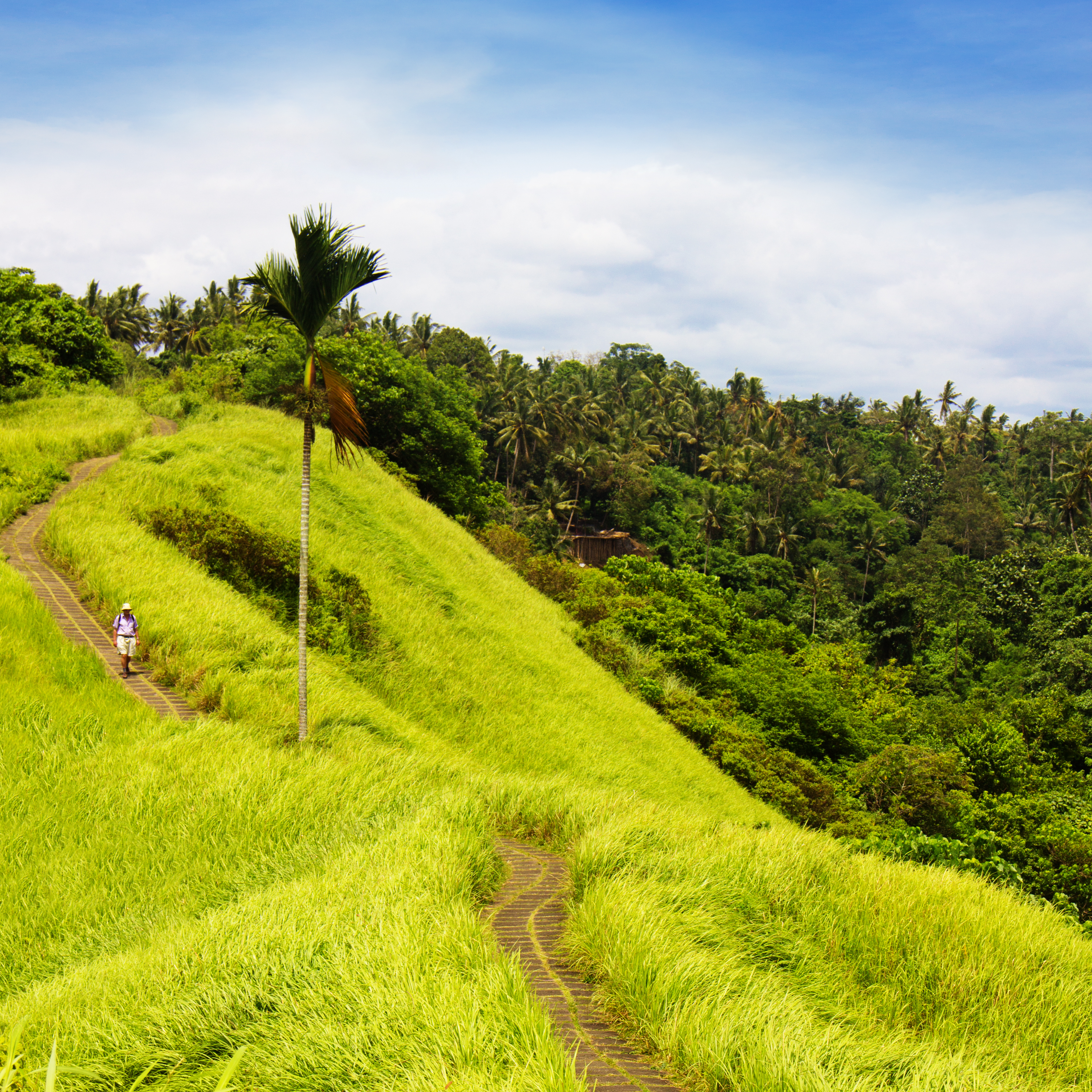 The Real Cost Of Living In Ubud, Bali For 1 Month