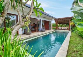 Ubud Villa for rent