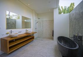 Ubud Villa for rent