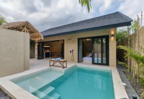 Ubud Property Villa VR2.641