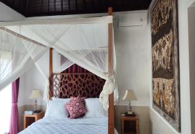 Ubud Villa for rent