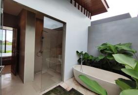 Ubud Villa for rent