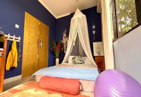 Ubud Villa for rent