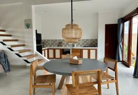Ubud Villa for rent