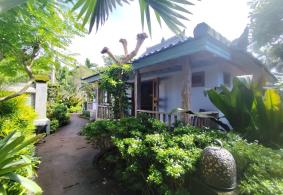 Ubud Villa for rent