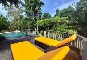 Ubud Villa for rent