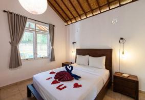 Ubud Villa for rent