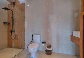 Ubud Villa for rent