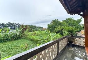 Ubud Villa for rent 